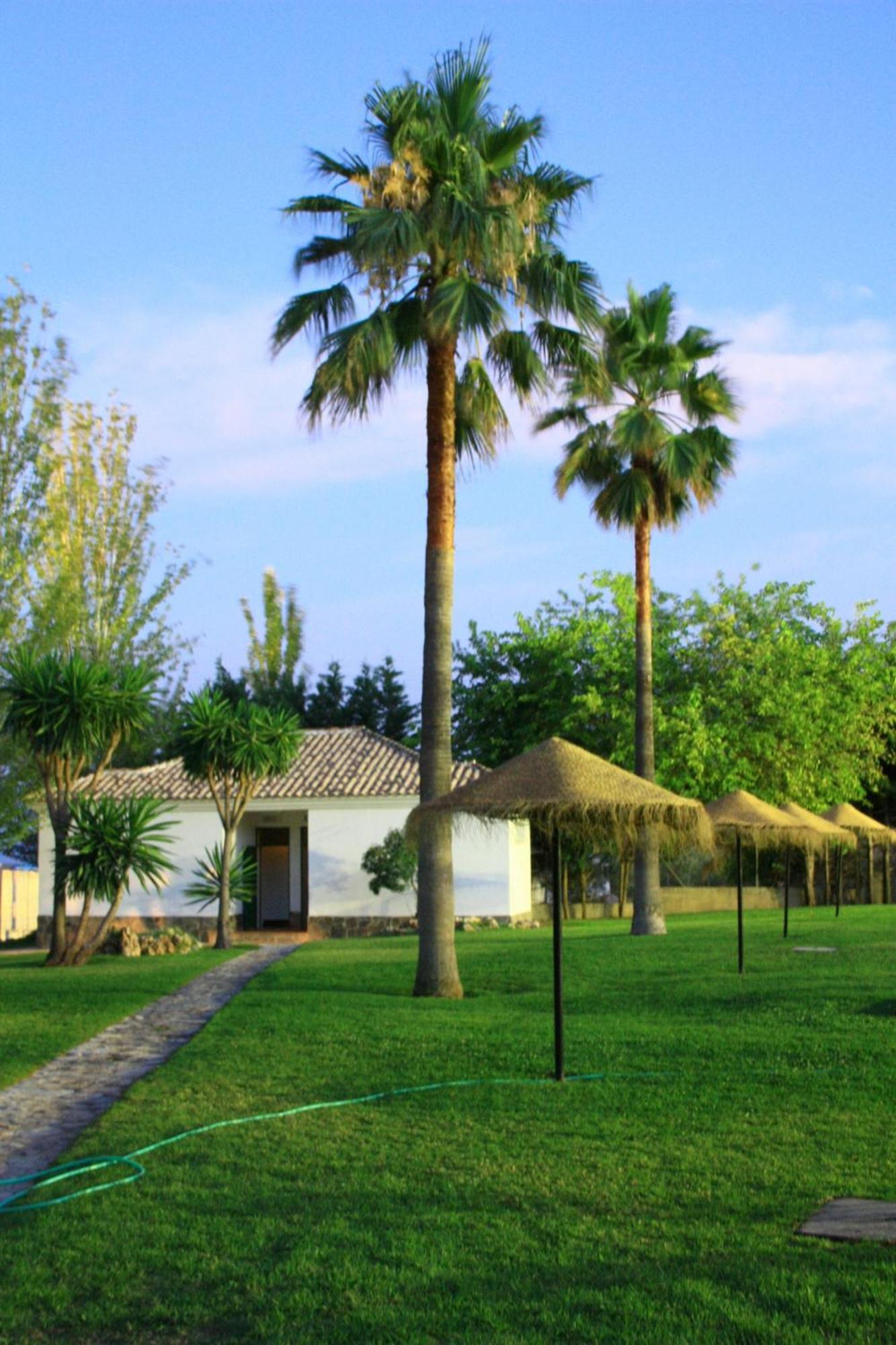 Camping Sierra De Las Nieves Yunquera Exterior foto
